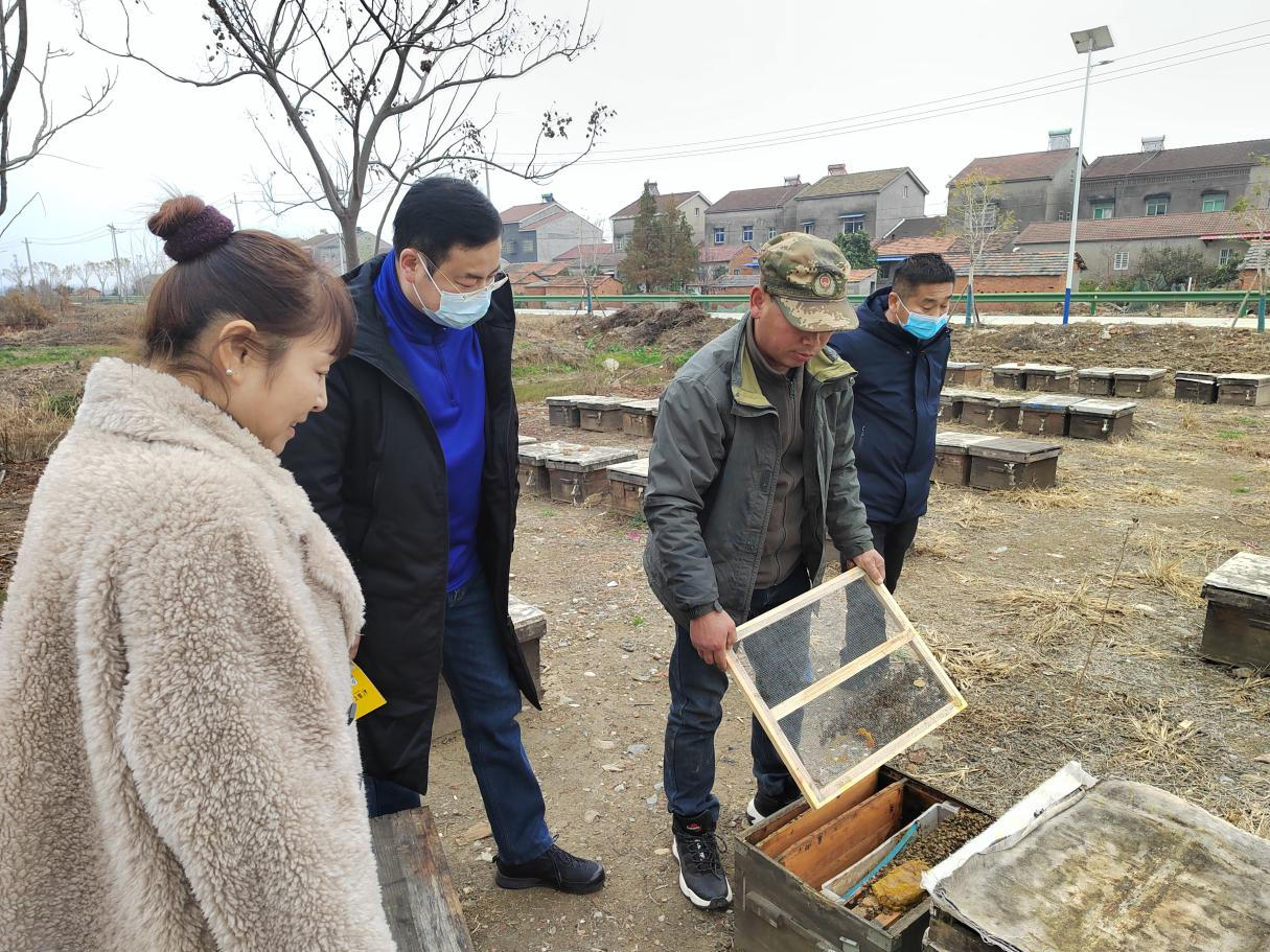 沙市區(qū)科協(xié)到荊州市振飛養(yǎng)蜂專業(yè)合作社開展走訪調(diào)研1.png