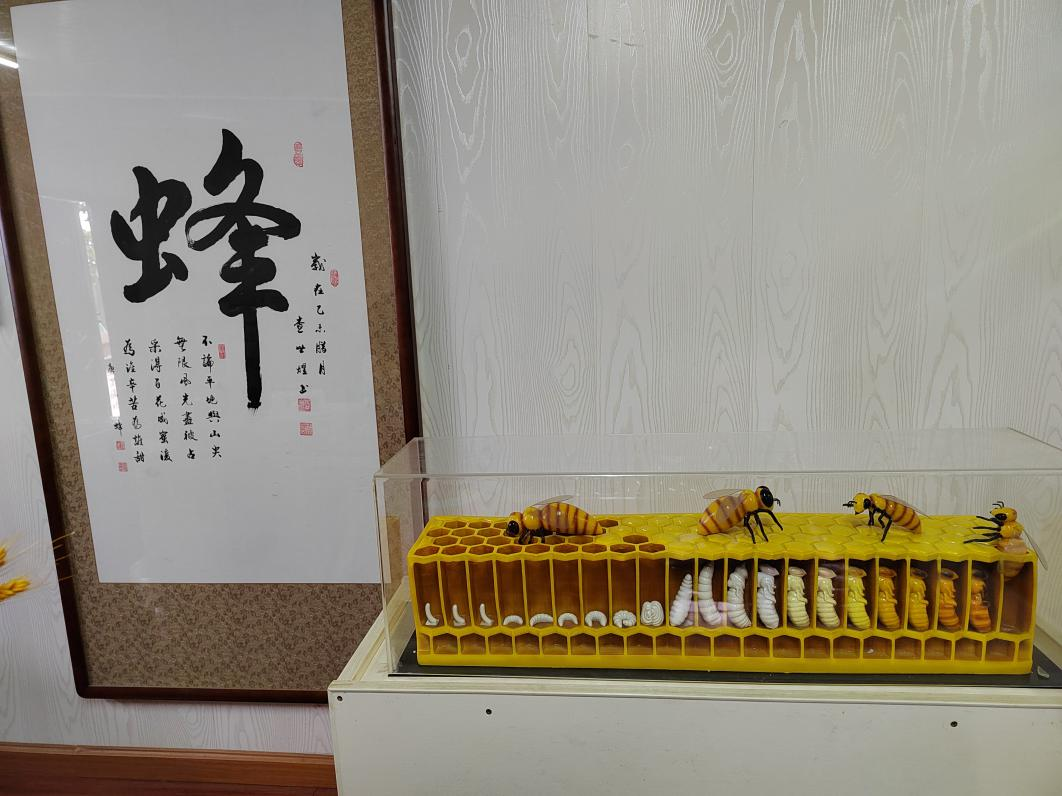 沙市區(qū)科協(xié)到荊州市振飛養(yǎng)蜂專業(yè)合作社開展走訪調(diào)研2.png